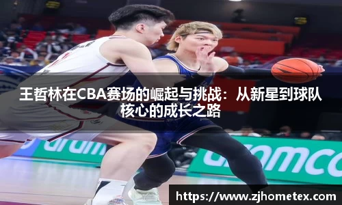 王哲林在CBA赛场的崛起与挑战：从新星到球队核心的成长之路
