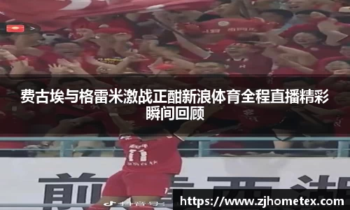 美嘉体育费古埃与格雷米激战正酣新浪体育全程直播精彩瞬间回顾