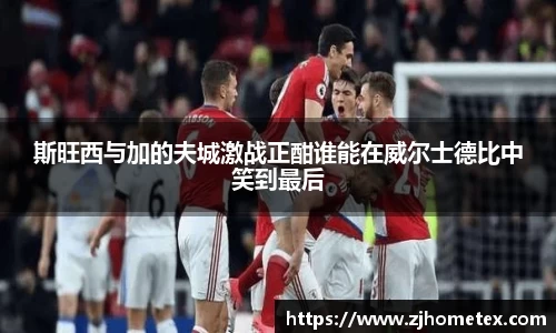 美嘉体育斯旺西与加的夫城激战正酣谁能在威尔士德比中笑到最后